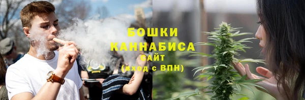 ешки Аркадак