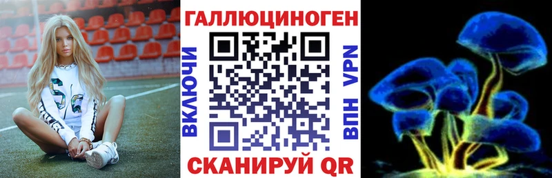 Псилоцибиновые грибы Cubensis  закладки  Сенгилей 